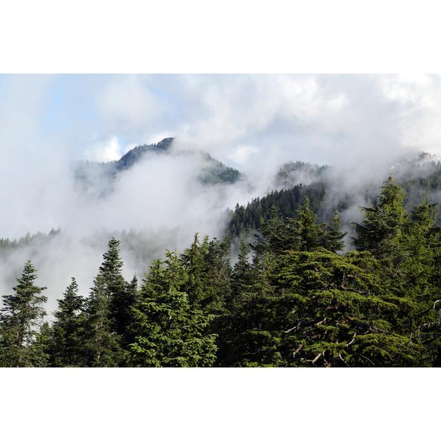 Smoky Mountain by Bobby Ware - Wrapped Canvas Photograph Alpen Home Size: 20cm H x 30cm W on Productcaster.