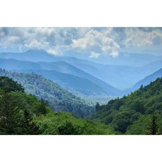 Great Smoky Mountains by Sprokop - Wrapped Canvas Print Alpen Home Size: 61cm H x 91cm W on Productcaster.