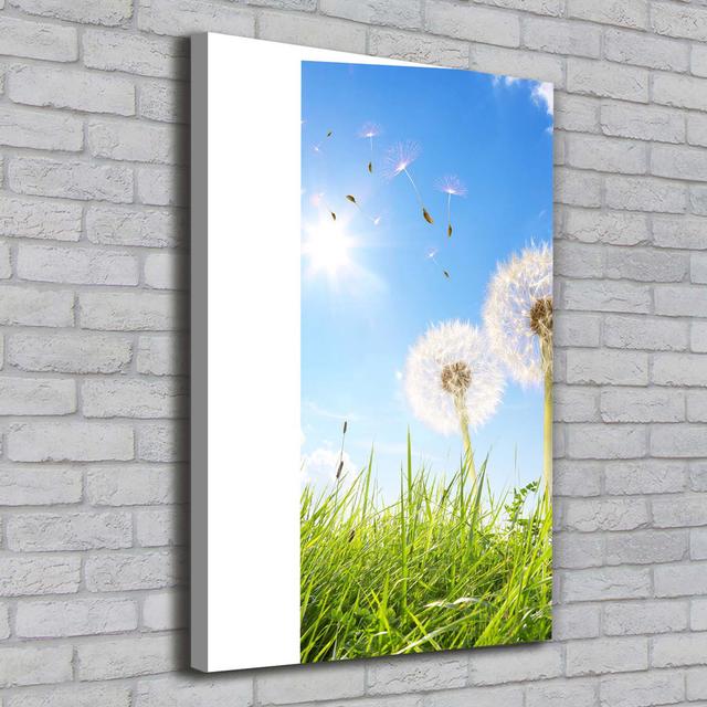 Dandelions in the Meadow - Wrapped Canvas Art Prints Ebern Designs on Productcaster.