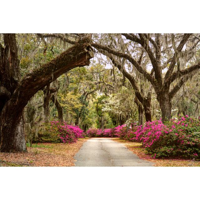 Roadside Flowers by Jeffrey Schreier - Wrapped Canvas Print Ebern Designs Size: 20cm H x 30cm W x 3.8cm D on Productcaster.