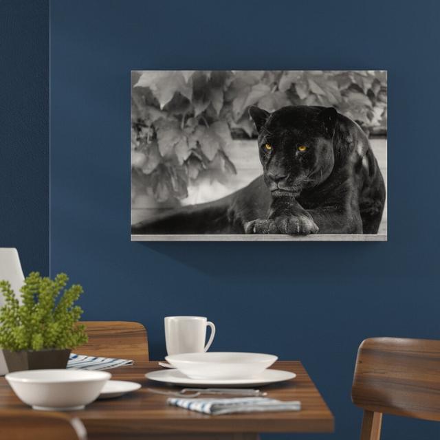 Leinwandbild Lovely Black Panther A von Emmanuel Keller East Urban Home Größe: 40 cm H x 60 cm B on Productcaster.