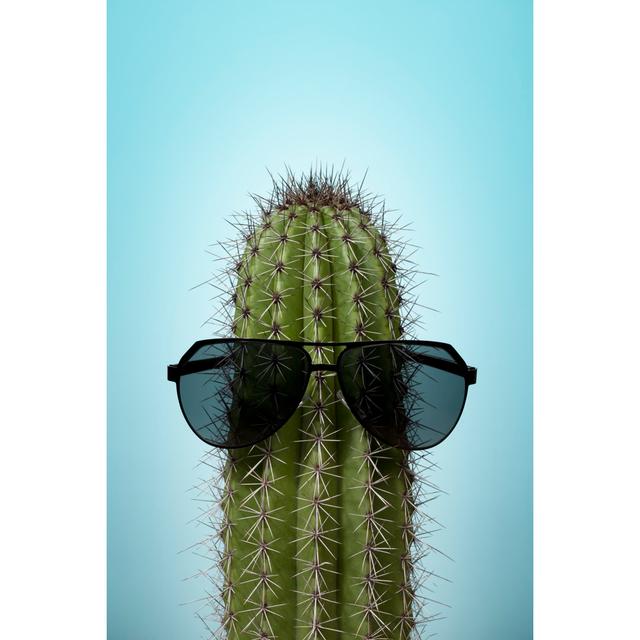 Cactus with sunglasses on blue Happy Larry Size: 30cm H x 20cm W x 3.8cm D on Productcaster.