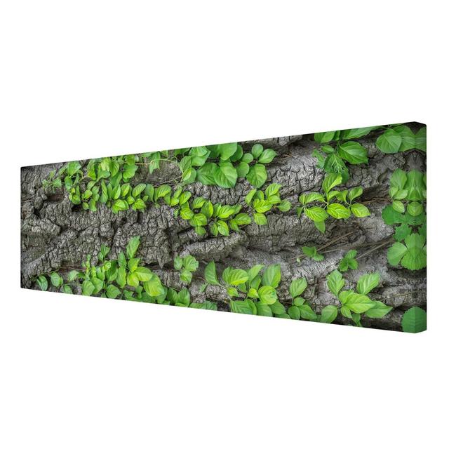 Ivy on Bark - Wrapped Canvas Graphic Art Print East Urban Home Size: 150cm L x 50cm W on Productcaster.