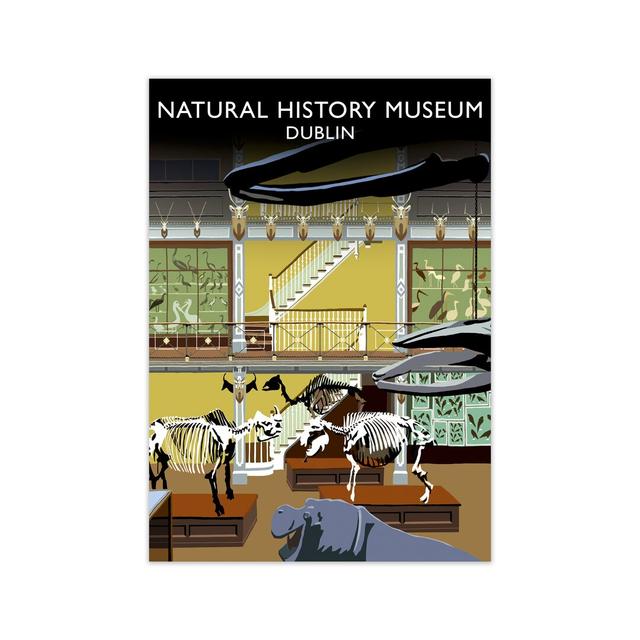 National History Museum Dublin by Richard O'Neill - Unframed Graphic Art Print on Paper 17 Stories Size: 59.4 cm H x 42 cm W on Productcaster.