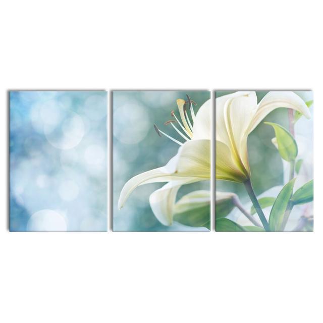 3-tlg. Leinwandbilder-Set Beautiful Lilies East Urban Home Größe: 100 cm H x 210 cm B on Productcaster.