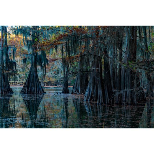 Caddo Lake Union Rustic Size: 51cm H x 76cm W x 3.8cm D on Productcaster.