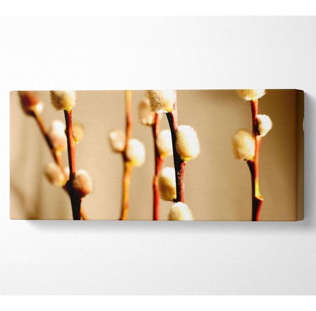 Pussy Willow - Wrapped Canvas Art Prints Latitude Run Size: 40.6cm H x 101.6cm W x 10cm D on Productcaster.