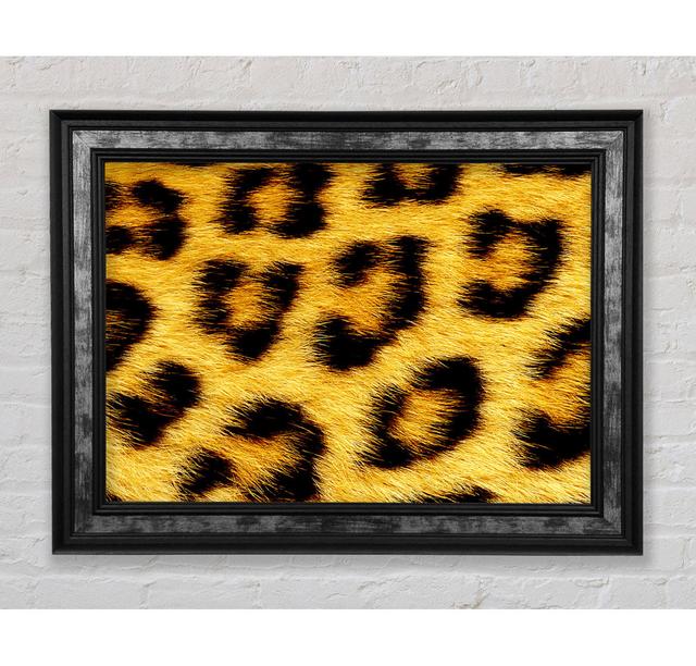 Leopard Print - Single Picture Frame Art Prints Bright Star Size: 84.1cm H x 142.2cm W x 8cm D on Productcaster.