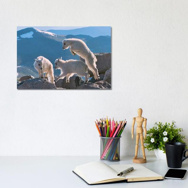 Kids by OLena Art - Wrapped Canvas Gallery-Wrapped Canvas Giclée Alpen Home on Productcaster.