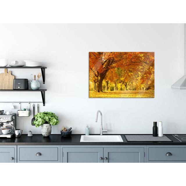 Beautiful Autumn Landscape - Unframed Photograph on Glass Union Rustic Size: 70cm H x 100cm W x 0.4cm D on Productcaster.