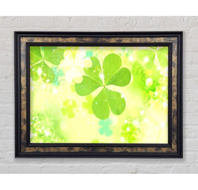 Magic Clover - Single Picture Frame Print Bright Star Size: 42cm H x 59.7cm W x 8cm D on Productcaster.