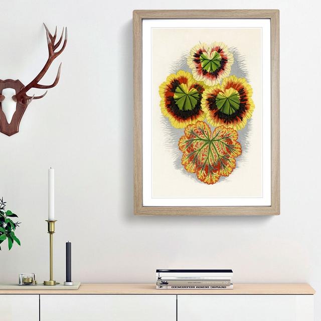 Geranium Leaves by Benjamin Fawcett - Picture Frame Graphic Art Print East Urban Home Frame Option: Oak Framed, Size: 65cm H x 48cm W x 2cm D on Productcaster.