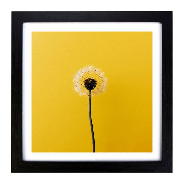 Dandelion Minimalism - Single Picture Frame Art Prints on Wood 17 Stories Format: Black on Productcaster.