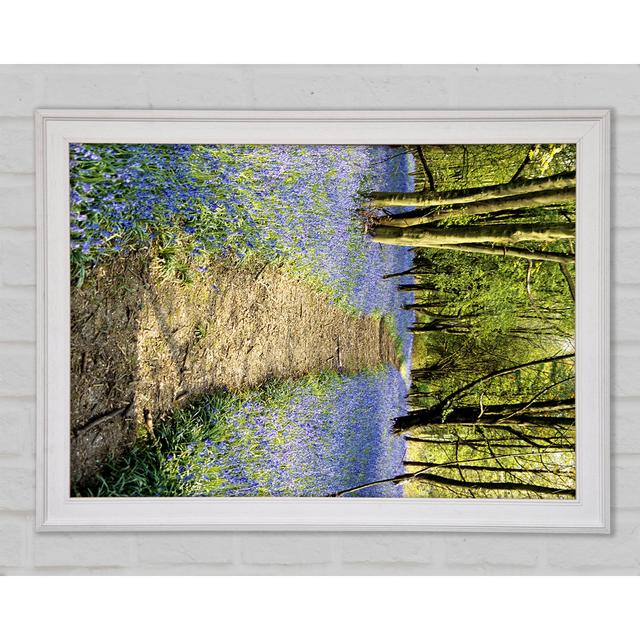 Bluebell Path - Single Picture Frame Art Prints Brayden Studio Size: 84.1cm H x 118.9cm W x 1.5cm D on Productcaster.