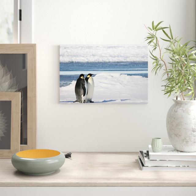 Poster „Zwei Kaiserpinguine auf Eisscholle" von martha de jong-lantink, Fotodruck East Urban Home Größe: 60 cm H x 80 cm B on Productcaster.