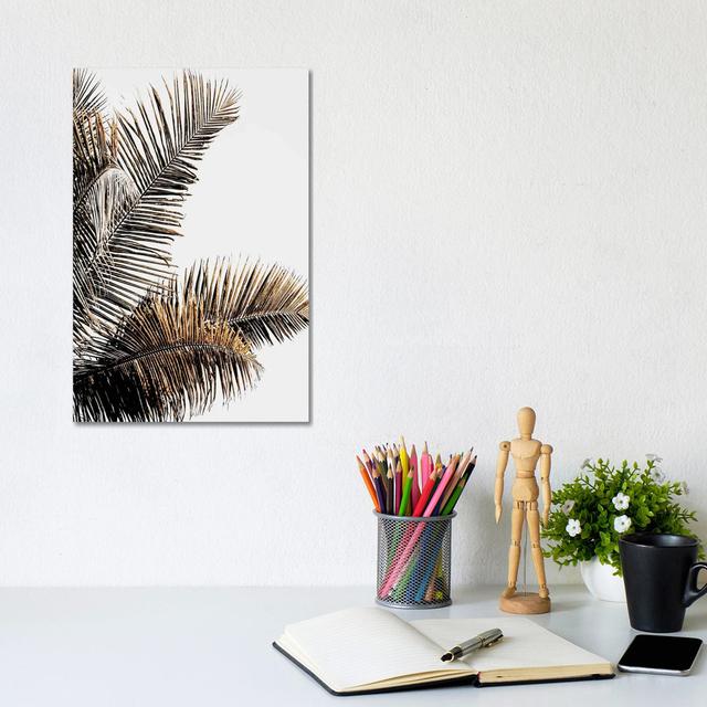 California Palm by Magda Izzard - Wrapped Canvas Graphic Art Bay Isle Home Size: 30.48cm H x 20.32cm W on Productcaster.