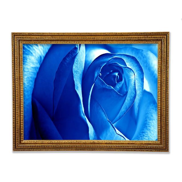 Blue Rose - Print Ebern Designs Size: 29.7cm H x 42cm W x 3cm D on Productcaster.