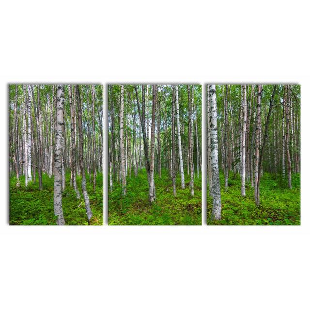 Birch Forest - 3 Piece Wrapped Canvas Photograph Print Set East Urban Home Size: 240 cm H x 120 cm W on Productcaster.