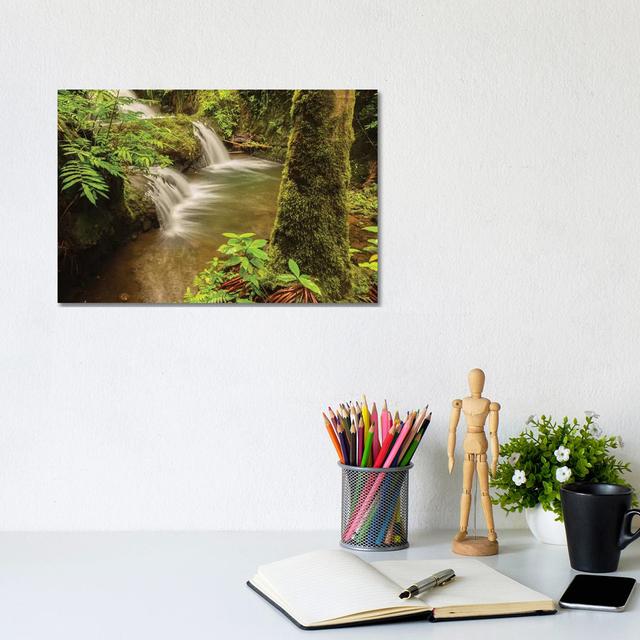 USA, Hawaii, Hawaii Tropical Botanical Garden. Waterfall Scenic. by Jaynes Gallery - Wrapped Canvas Gallery-Wrapped Canvas Giclée Alpen Home Size: 45. on Productcaster.