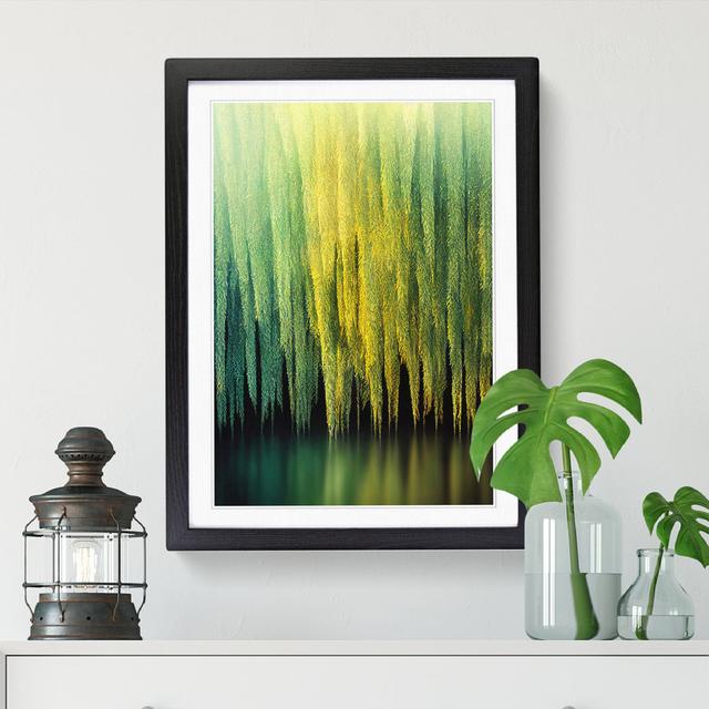 Weeping Willow Tree View - Print ClassicLiving Size: 64cm H x 46cm W x 2cm D, Frame Option: Walnut on Productcaster.