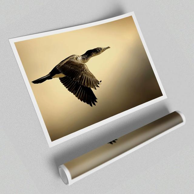 Shag Bird - Photograph Print on Paper East Urban Home Size: 42 cm H x 59.4 cm W on Productcaster.