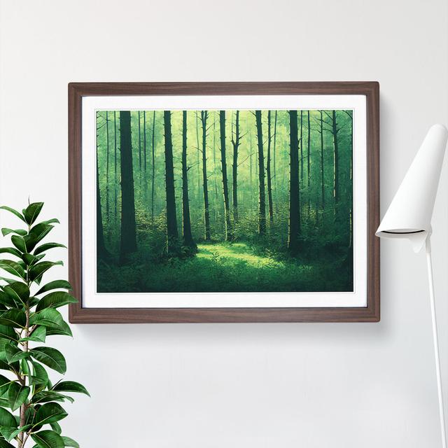 XH1022-7260X Quirky Forest - Single Picture Frame Print Alpen Home Size: 25cm H x 34cm W x 2cm D, Frame Colour: Walnut Framed on Productcaster.