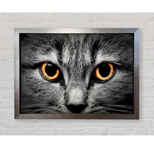 Orange Cat Eyes - Single Picture Frame Art Prints Bright Star Size: 100cm H x 141.4cm W x 3.4cm D on Productcaster.