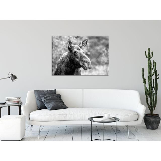 Moose In The Forest - No Frame Print on Glass Union Rustic Size: 70cm H x 100cm W x 0.4cm D on Productcaster.