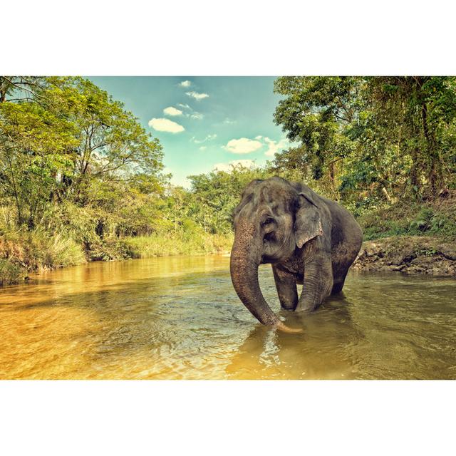 Asian Elephant - No Frame Print on Canvas 17 Stories Size: 81cm H x 122cm W on Productcaster.