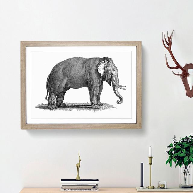 Elephant in Black & White by George Shaw - Picture Frame Drawing Print East Urban Home Frame Option: Oak Framed, Size: 27cm H x 36cm W x 2cm D on Productcaster.