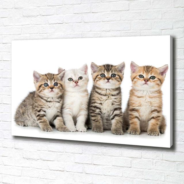 Small Cats - Wrapped Canvas Art Prints Brayden Studio on Productcaster.