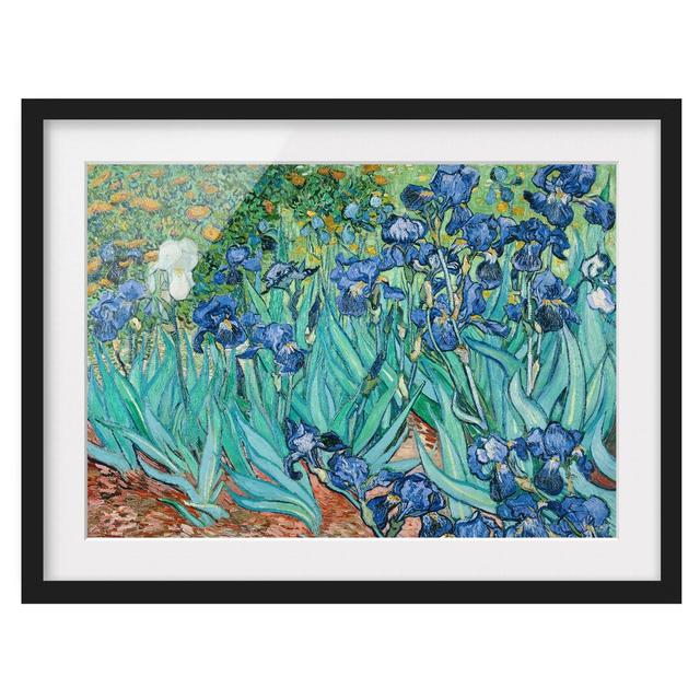 Iris by Vincent Van Gogh - Picture Frame Art Print on Paper East Urban Home Size: 70cm H x 100cm W, Frame Options: Matt black on Productcaster.