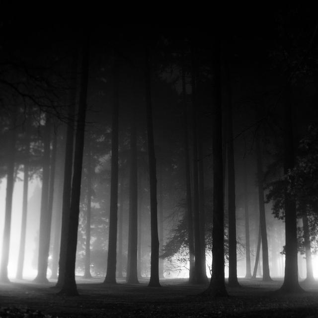 Dramatic Black And White Silhouette Of Trees On Foggy Night by Andipantz - No Frame Art Prints on Canvas Alpen Home Size: 122cm H x 122cm W on Productcaster.