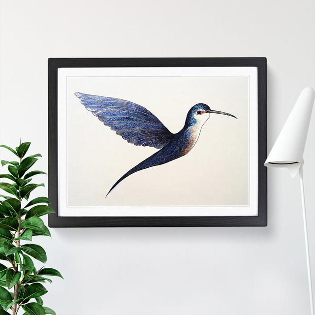 Swallow Bird - Single Picture Frame Print Marlow Home Co. Frame Colour: Black Framed, Size: 46cm H x 64cm W x 2cm D on Productcaster.