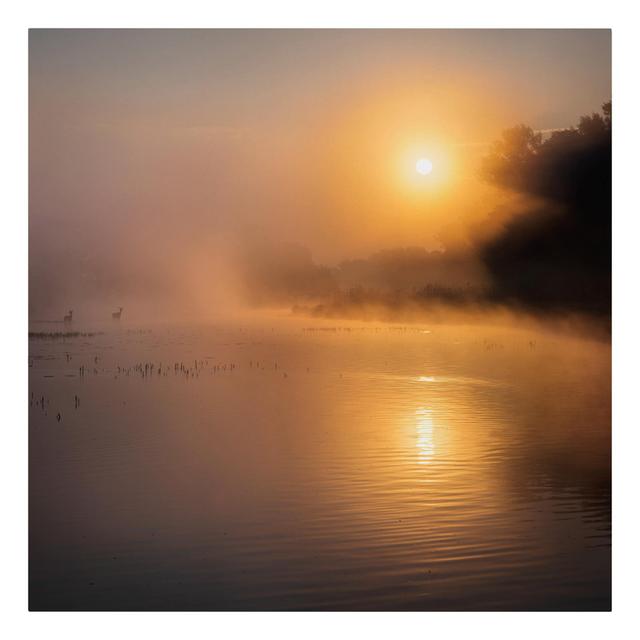 Sunrise at the Lake with Deer in the Fog - Wrapped Canvas Photograph Ebern Designs Format: 260g/m² Canvas, Size: 40cm H x 40cm W on Productcaster.