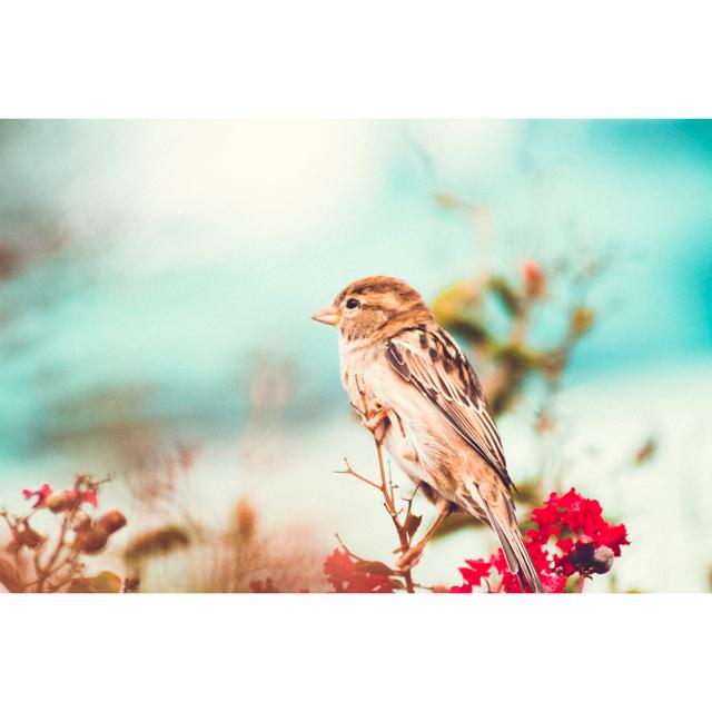 Sparrow Perched In A Colourful Fall Myrtle Shrub by Diane Labombarbe - No Frame Print on Canvas 17 Stories Size: 20cm H x 30cm W on Productcaster.