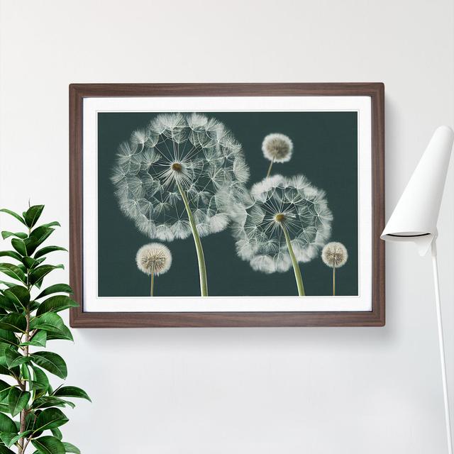 Magical Dandelion Flowers - Single Picture Frame Print 17 Stories Size: 34cm H x 46cm W x 2cm D, Frame Colour: Walnut on Productcaster.