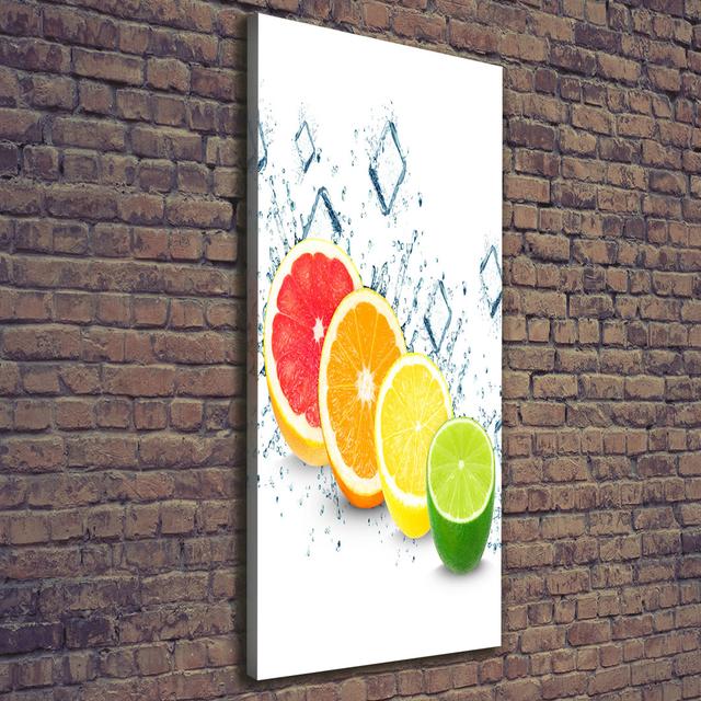 Citrus Fruits - Wrapped Canvas Art Prints Brayden Studio on Productcaster.