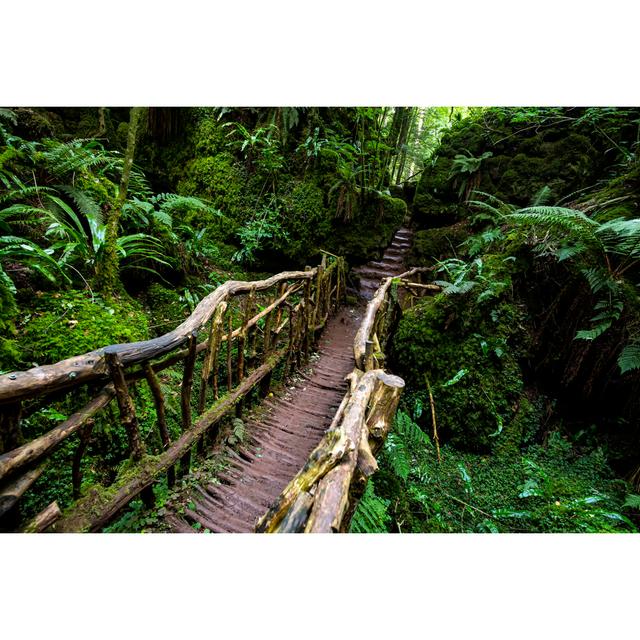 Wooden Bridge by Fulcanelli_Aos - Wrapped Canvas Photograph Alpen Home Size: 20cm H x 30cm W on Productcaster.