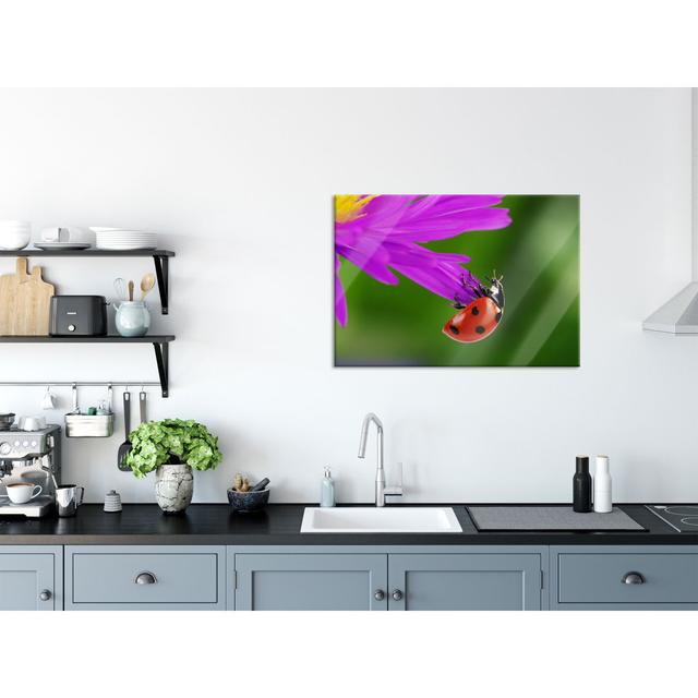 Ladybird On Gerbera Blossom - No Frame Print on Glass Brayden Studio Size: 70cm H x 100cm W x 0.4cm D on Productcaster.