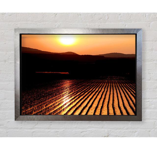 Sunset Over The Wheatfield Framed Print Bright Star Size: 42cm H x 59.7cm W on Productcaster.