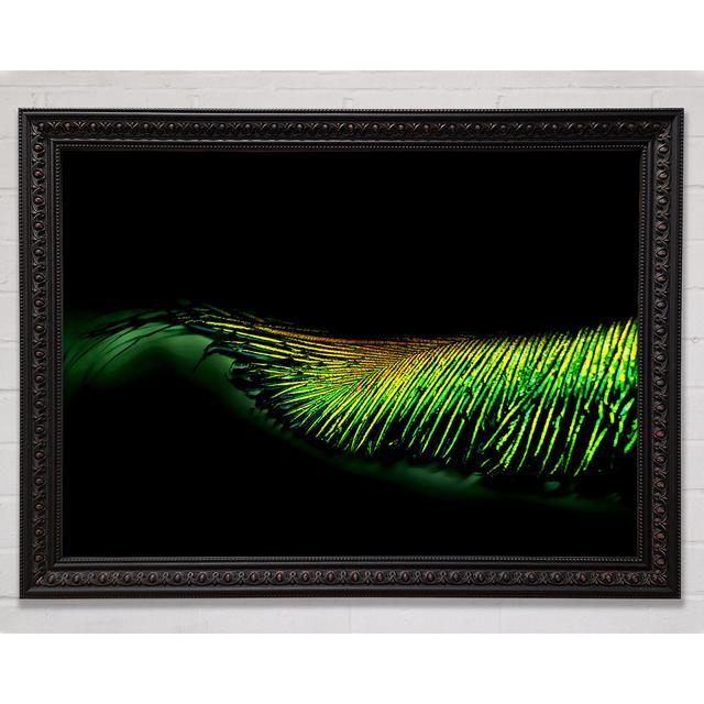 Vibrant Green Feather - Print Brayden Studio Size: 42cm H x 59.7cm W on Productcaster.