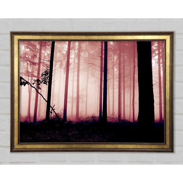 Mauve Forest Mist - Single Picture Frame Art Prints Alpen Home Size: 59.7cm H x 84.1cm W x 1.5cm D on Productcaster.