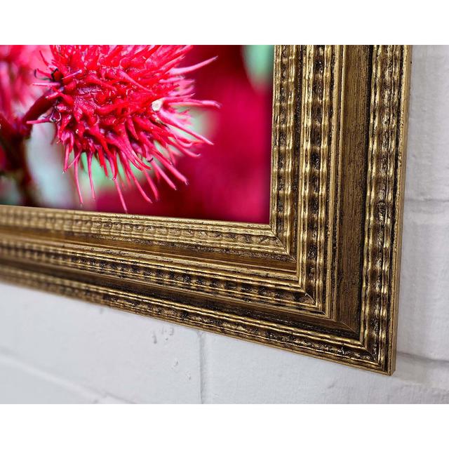 Spikey Flower Heads Framed Print Ebern Designs Size: 29.1cm H x 42cm W on Productcaster.