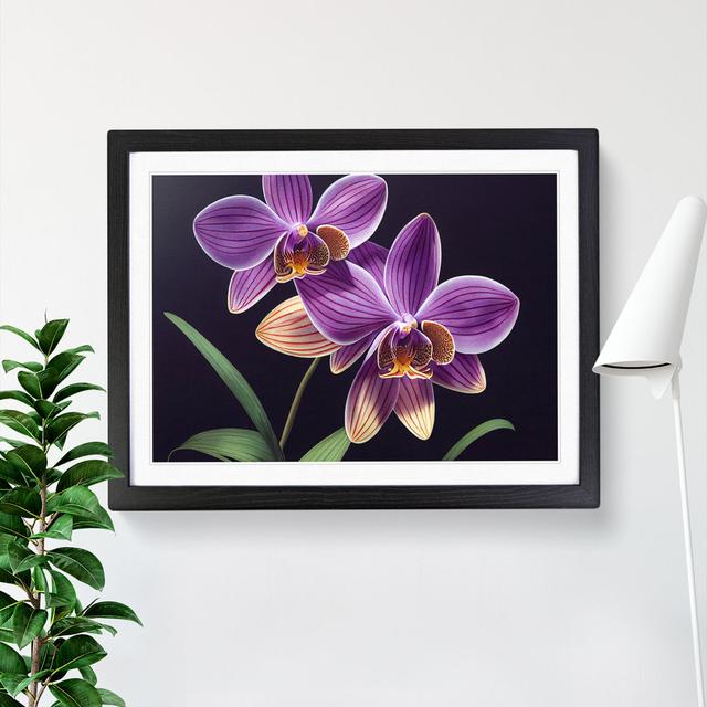 Unbeatable Orchid Flowers - Picture Frame Graphic Art Marlow Home Co. Size: 34cm H x 46cm W x 2cm D, Frame Colour: Black Framed on Productcaster.