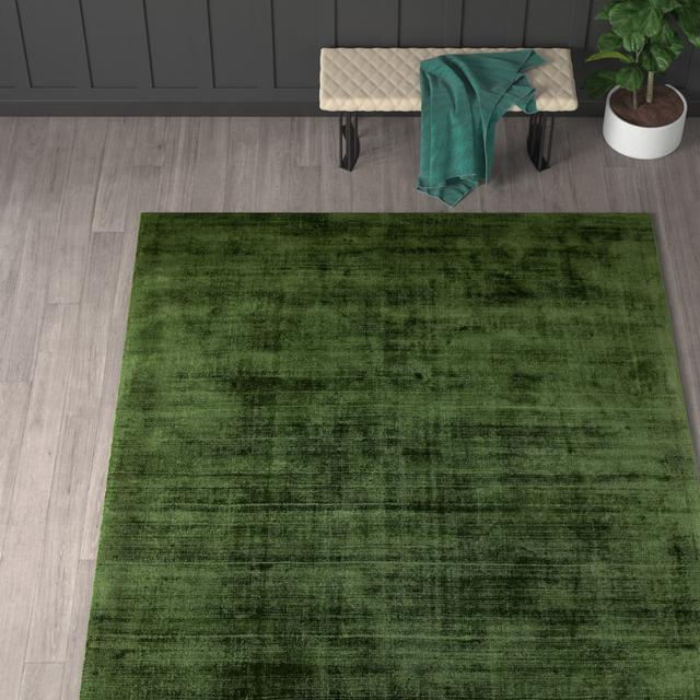 Phoebe Plain Silky Green Rug Mercury Row Rug Size: Rectangle 240 x 340cm on Productcaster.