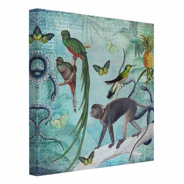 Colonial Style Collage - Little Monkeys and Birds of Paradise by Andrea Haase - Wrapped Canvas Graphic Art Latitude Vive Format: 330g/m² recycled canv on Productcaster.