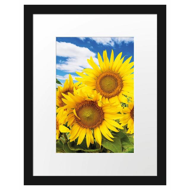 Gerahmtes Poster Sonnenblumenwiese unter Himmel East Urban Home Größe: 38 cm H x 30 cm B on Productcaster.