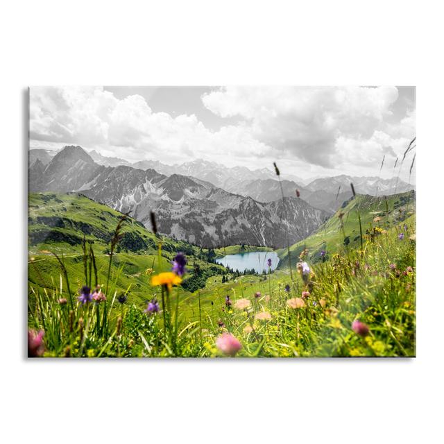 Meadow Flowers in the Mountains B&W Detail - Wrapped Canvas Photograph Union Rustic Size: 70cm H x 100cm W x 0.4cm D on Productcaster.