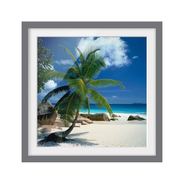 Dream Beach Framed Photographic Art Print East Urban Home Frame Options: Matt grey, Size: 50cm H x 50cm W on Productcaster.